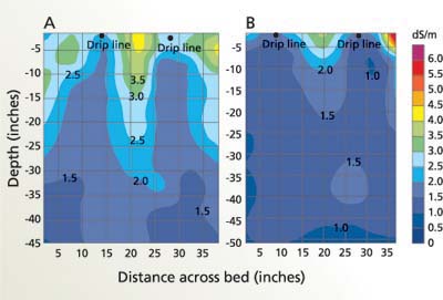 Pattern of soil salinity, expressed as the EC (dS/m) of saturated extracts, around drip lines for sites with relatively (A) low and (B) high leaching. Contour lines show equal ECe (dS/m). The color scale shows ECe associated with colors between contour lines.
