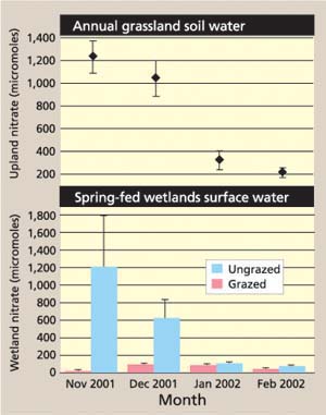 Soil and surface-water nitrate concentrations from Experiment B during winter 2001-2002.