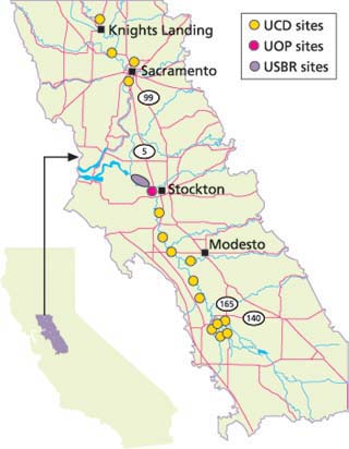 Transparency-tube sampling sites. UCD includes 248 samples from 15 Central Valley rivers in the San Joaquin and Sacramento river watersheds; UOP includes 194 samples from the Stockton Ship Channel; and USBR includes 26 samples from Bay-Delta waterways.