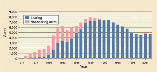 California kiwifruit acreage, 1974-2001. Source: CASS 2002.