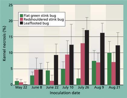 Average (± SEM) levels of kernel necrosis for redshouldered stink bug, flat green stink bug and leaffooted bug for different 7-day feeding periods.