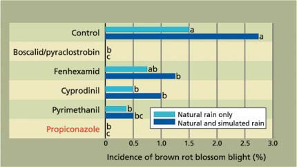 Efficacy of reduced-risk, delayed-bloom fungicide applications for management of brown rot blossom blight in ‘Elegant Lady’ peaches with natural rain only (0.39 inches in 2003 and 0.79 inches in 2004), and natural rain plus simulated rain. Average of 2003 and 2004 data is shown. Conventional fungicide is shown in red type.
