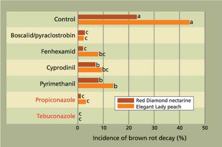 Efficacy of reduced-risk preharvest fungicides to manage natural incidence of brown rot fruit decay. Treatments were applied using an air-blast sprayer (100 gal/acre) at 14 days and 1 day before harvest for ‘Red Diamond’ nectarines, and at 7 days and 1 day before harvest for ‘Elegant Lady’ peaches. Conventional fungicides are shown in red type.