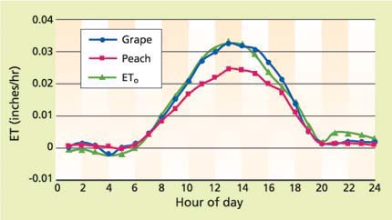 Hourly crop evapotranspiration (ET) on June 9, 1996, as measured by the Kearney grape and peach lysimeters. Reference ETo was obtained from a nearby CIMIS weather station.