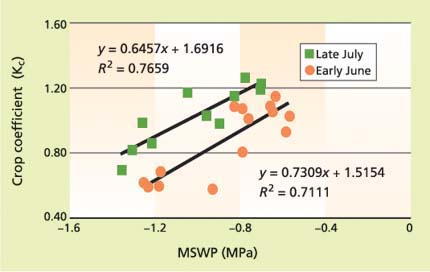 Relationship between peach tree crop-coefficient (Kc = ETc/ETo) and midday stem water-potential (MSWP) for two periods of three dry-down cycles (no irrigation for 5 to 7 days) in 2002. MSWP is expressed in units of mega-pascals (MPa), a measure of water tension in the plant.