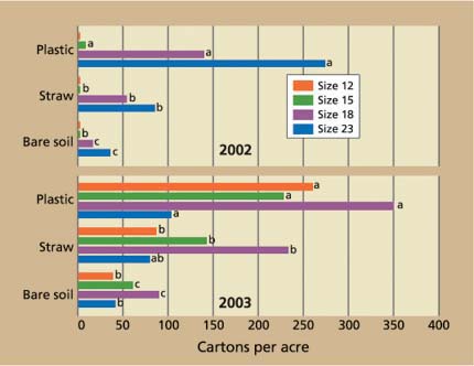Cantaloupe yields in cartons per acre, 2002 and 2003.