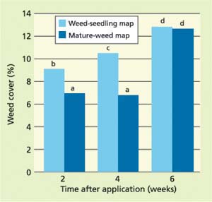 Weed cover at 2, 4 and 6 weeks after variable-rate application, averaged over the three herbicide rates. Weed cover was visually estimated in each subplot. 0 = no weeds present. Different letters indicate significant difference between treatments at the 0.05 significance level based on LSD multiple pairwise comparison test.