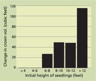 Change in crown volume for seedlings of different heights after 1 year of grazing.