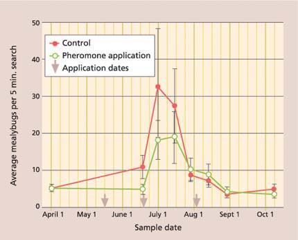 Season-long average (± SEM) of settled (second to adult stage) vine mealybugs in mating disruption and no-insecticide control treatments were not significantly different (repeated measures ANOVA: F = 1.85; df = 1, 77; P = 0.18).