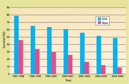 Observed survival (%) for old versus new seedlings, 1997 to 2004.