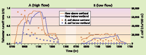 E. coli concentration and tailwater profiles above and below the study wetland for a typical (A) high- and (B) low-flow irrigation event.