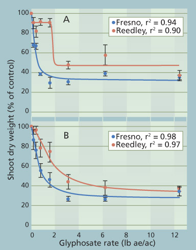 Average shoot dry weight (± SE) of Fresno and Reedley hairy fleabane plants (expressed as percentage of untreated control) under different glyphosate rates in the (A) first (12-to-15-leaf stage) and (B) second (17-to-23-leaf stage) experimental run.
