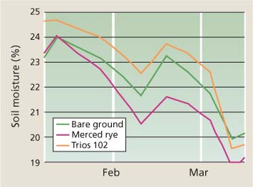 Average soil moisture in vine rows (middles) at 6 to 42 inches during winter 2002–2003 (date-by-cover-crop interaction, P < 0.0001).
