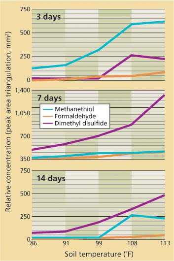 Effects of soil temperature and time on relative concentration dynamics of three volatile chemicals in soil during a laboratory study. The chemicals are nonglucosinolate-derived decomposition products of cabbage plant residues, which were incorporated in soil microcosms 3, 7 and 14 days prior to headspace sampling and analysis by gas chromatography (adapted from Gamliel and Stapleton 1993).