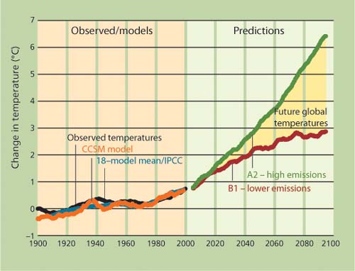 Observed and predicted changes in average surface temperatures in the Northern Hemisphere. Observed/models (left) shows: observed temperatures between 1900 and 2000 (Mitchell and Jones 2005); 18-model mean sample of IPCC global ocean-atmosphere predictions starting about 1850, for 1900 to 2000; and Community Climate System Model (CCSM) prediction for 1900 to 2000. CCSM predictions (right) for 2000 to 2100 are based on the A2 (high emissions) and moderate B1 (lower emissions) economic scenarios. The likely range of global temperatures in the future is between the green and red lines.