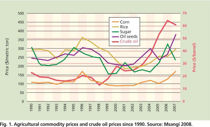 Agricultural commodity prices and crude oil prices since 1990. Source: Msangi 2008.