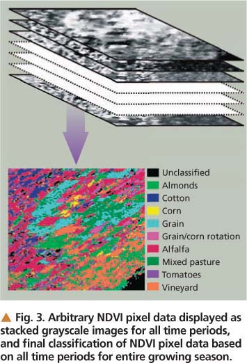 Arbitrary NDVI pixel data displayed as stacked grayscale images for all time periods, and final classification of NDVI pixel data based on all time periods for entire growing season.
