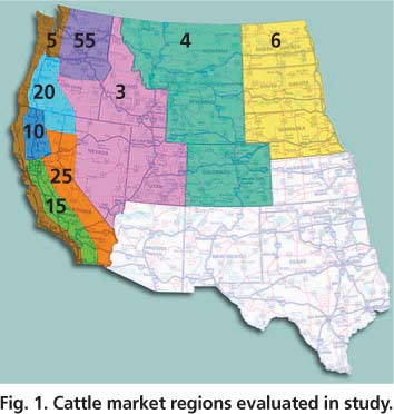 Cattle market regions evaluated in study.