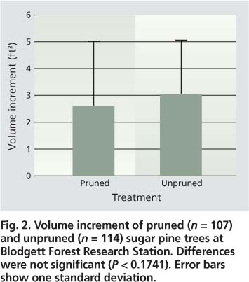 volume increment of pruned (n = 107) and unpruned (n = 114) sugar pine trees at Blodgett Forest Research Station. Differences were not significant (P < 0.1741). Error bars show one standard deviation.