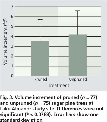 Volume increment of pruned (n = 77) and unpruned (n = 75) sugar pine trees at Lake Almanor study site. Differences were not significant (P < 0.0788). Error bars show one standard deviation.