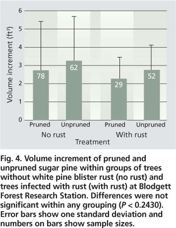 Volume increment of pruned and unpruned sugar pine within groups of trees without white pine blister rust (no rust) and trees infected with rust (with rust) at Blodgett Forest Research Station. Differences were not significant within any grouping (P < 0.2430). Error bars show one standard deviation and numbers on bars show sample sizes.