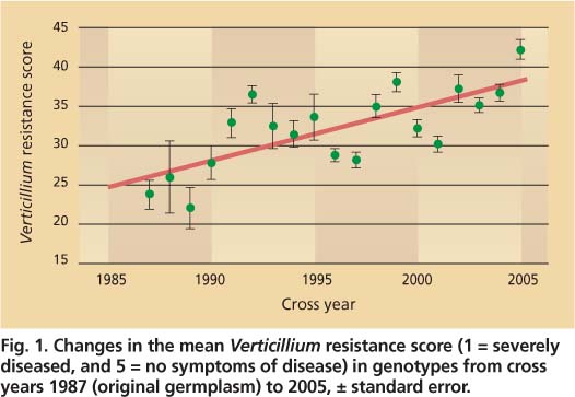 Changes in the mean Verticillium resistance score (1 = severely diseased, and 5 = no symptoms of disease) in genotypes from cross years 1987 (original germplasm) to 2005, ± standard error.