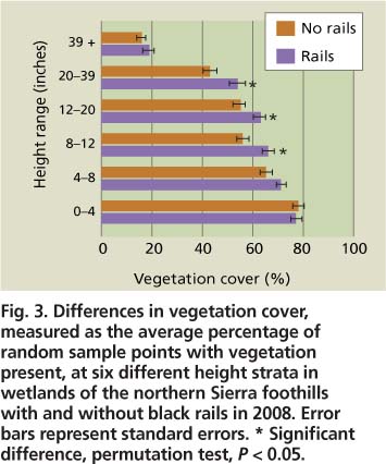 Differences in vegetation cover, measured as the average percentage of random sample points with vegetation present, at six different height strata in wetlands of the northern Sierra foothills with and without black rails in 2008. Error bars represent standard errors. * Significant difference, permutation test, P < 0.05.