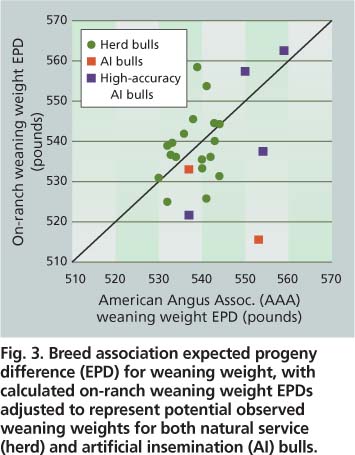Breed association expected progeny difference (EPD) for weaning weight, with calculated on-ranch weaning weight EPDs adjusted to represent potential observed weaning weights for both natural service (herd) and artificial insemination (AI) bulls.