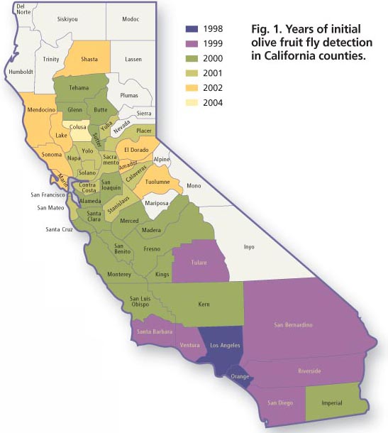 Years of initial olive fruit fly detection in California counties.