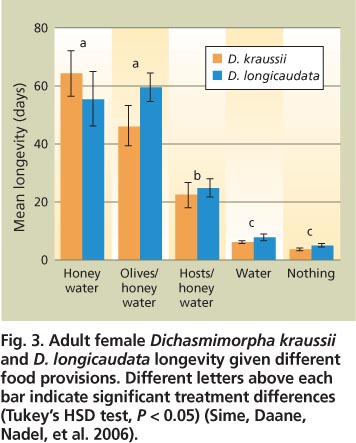 Adult female Dichasmimorpha kraussii and D. longicaudata longevity given different food provisions. Different letters above each bar indicate significant treatment differences (Tukey's HSD test, P < 0. 05) (Sime, Daane, Nadel, et al. 2006).