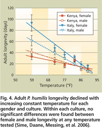 Adult P. humilis longevity declined with increasing constant temperature for each gender and culture. Within each culture, no significant differences were found between female and male longevity at any temperature tested (Sime, Daane, Messing, et al. 2006).
