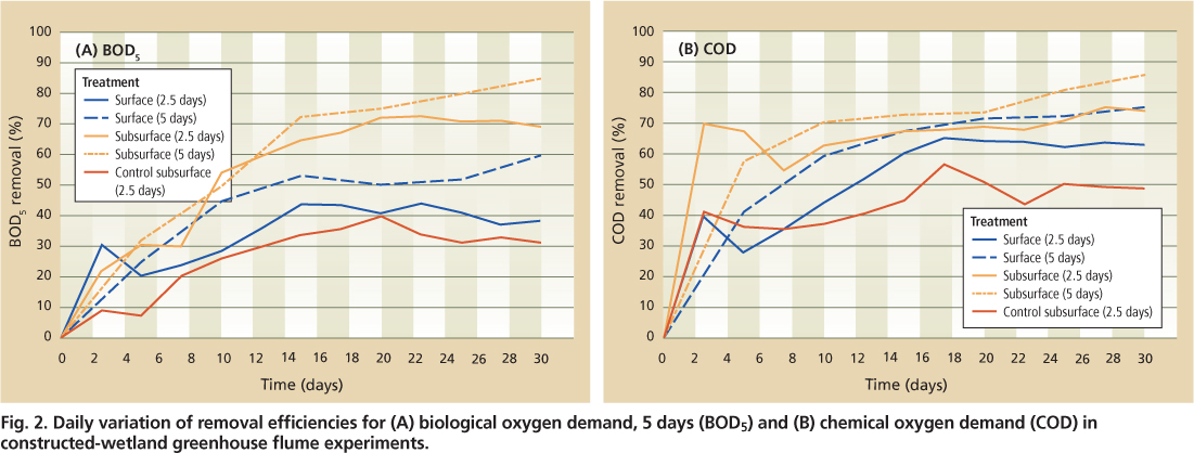 Daily variation of removal efficiencies for (A) biological oxygen demand, 5 days (BOD;) and (B) chemical oxygen demand (COD) in constructed-wetland greenhouse flume experiments.