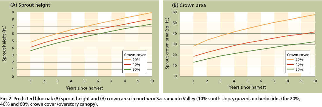 Predicted blue oak (A) sprout height and (B) crown area in northern Sacramento Valley (10% south slope, grazed, no herbicides) for 20%, 40% and 60% crown cover (overstory canopy).