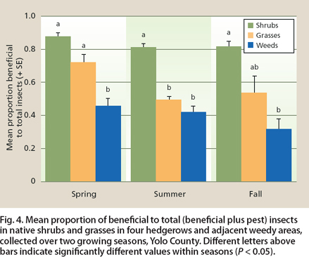 Mean proportion of beneficial to total (beneficial plus pest) insects in native shrubs and grasses in four hedgerows and adjacent weedy areas, collected over two growing seasons, Yolo County. Different letters above bars indicate significantly different values within seasons (P < 0.05).