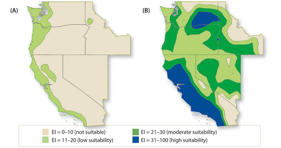 CLIMEX climate-matching results for switchgrass based on climate preferences estimated for (A) the nonnative range of the western United States and for (B) the nonnative range of the western United States assuming yearlong access to water (e.g., land along a stream or land that is irrigated). The colors represent CLIMEX ecoclimatic index values (EI; 0–100), where higher numbers represent a more suitable environment (see figure legend) (Barney and DiTomaso 2011).