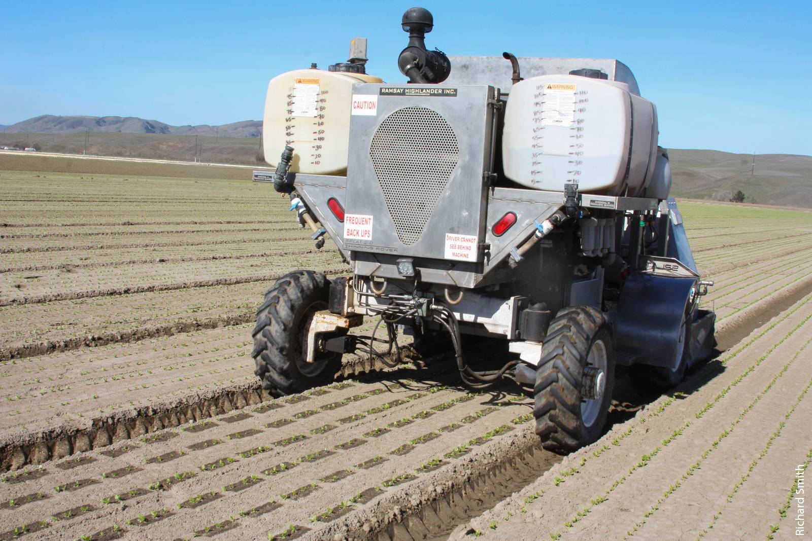 California growers are adopting automated lettuce thinners to improve labor efficiency. An automated thinner pulled behind a tractor can thin up to 18 seedlines at 2 mph. However, doubles left behind must be removed manually.