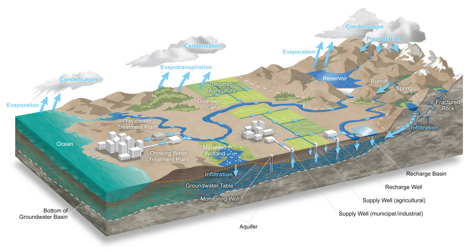 The hydrologic cycle. Source: California Department of Water Resources, Water Budget Best Management Practice, December 2016.