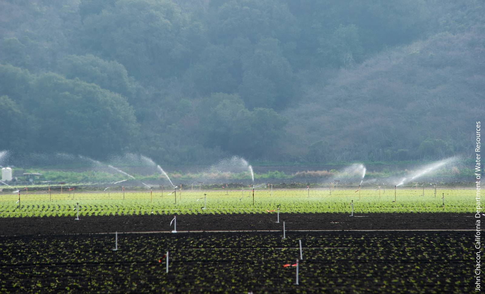 Agricultural pollution affects many water bodies on California's Central Coast and has prompted regulatory action. This article examines the perspectives of Central Coast growers on water quality issues and on the many groups involved in water quality regulation and management, including agricultural groups and the Central Coast Regional Water Quality Control Board.