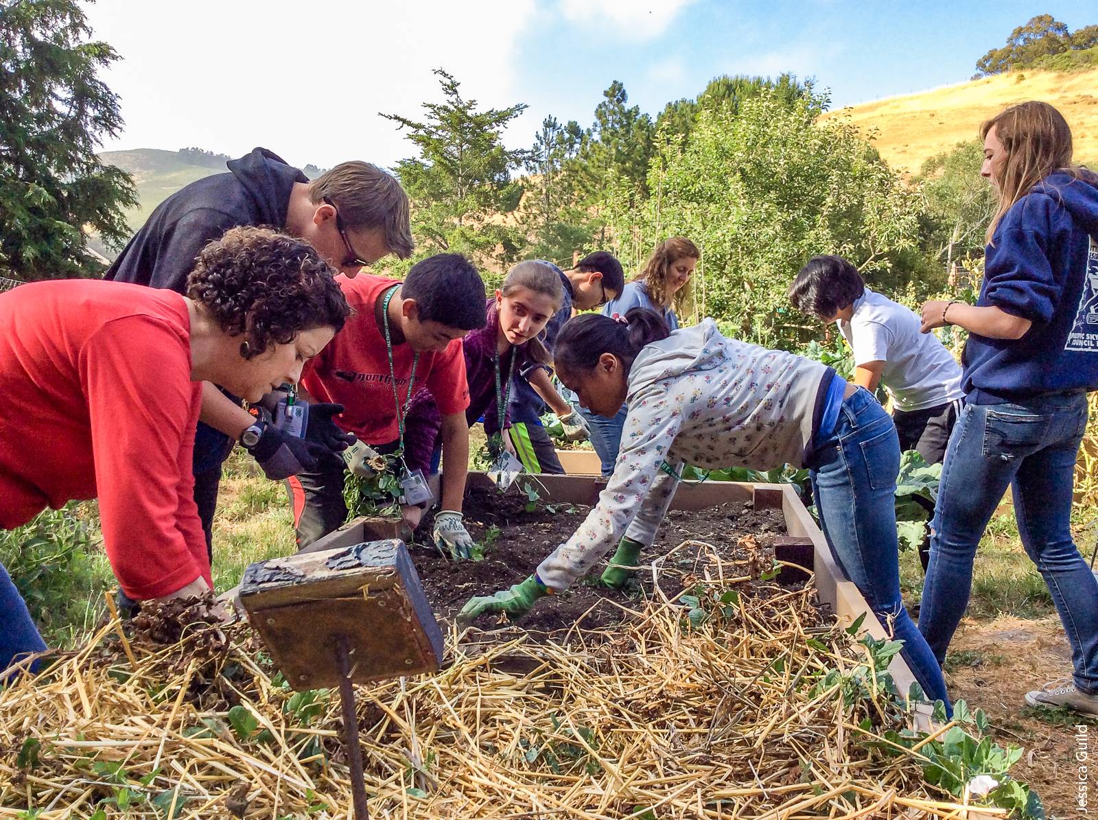 A pilot study conducted by UC Cooperative Extension showed that the Healthy Living Ambassador Program increased children's interest in science and gardening and that teen teachers developed self-efficacy in healthy behaviors.