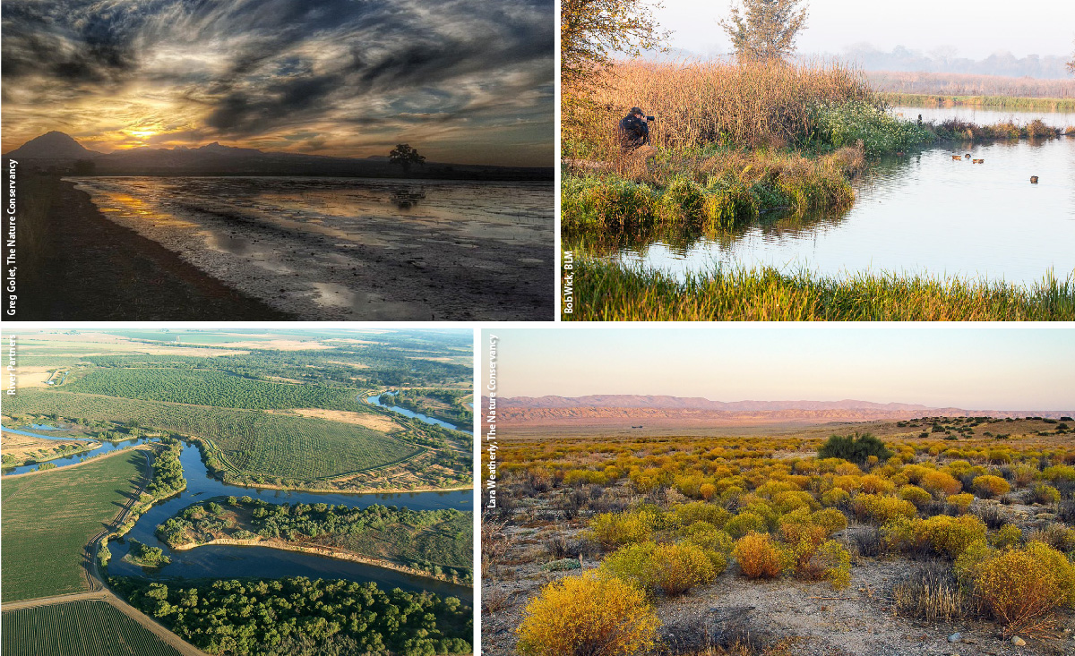 Conservation land use options that can be part of the solution for meeting groundwater sustainability include: top left, temporary flooding of farm fields at the right times of year to create “pop-up” wetlands for wildlife; top right, wetland and riparian habitat in dedicated recharge basins that can provide high-value habitat for migratory birds and the threatened giant garter snake; bottom left and bottom right, restored riparian corridors along rivers and restored upland grasslands and scrublands, which could reduce the demand for water and provide ecosystem service and human benefits.