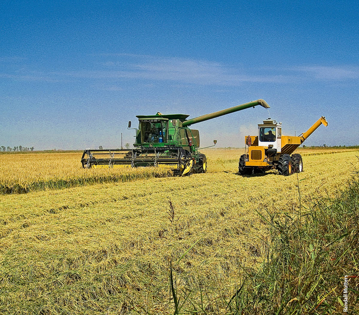 An analysis of U.S. agricultural production over the past 100 years indicates that the rate of productivity growth has slowed considerably. In the final 10 to 20 years of the researchers' dataset, farm productivity grew at only half the rate that had been sustained for much of the 20th century. The researchers suggest that the slowdown could be related to an earlier slowdown in the growth of spending on agricultural research and development.