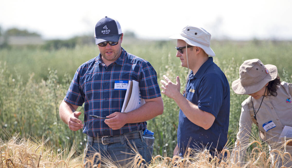 Thomas Getts, left, UCCE advisor based in Lassen County, at the UC Davis Agronomy Field Headquarters. Providing trustworthy technical advice is a key part of Extension's mission, but the organization maximizes its public value when it combines technical knowledge with relational work.