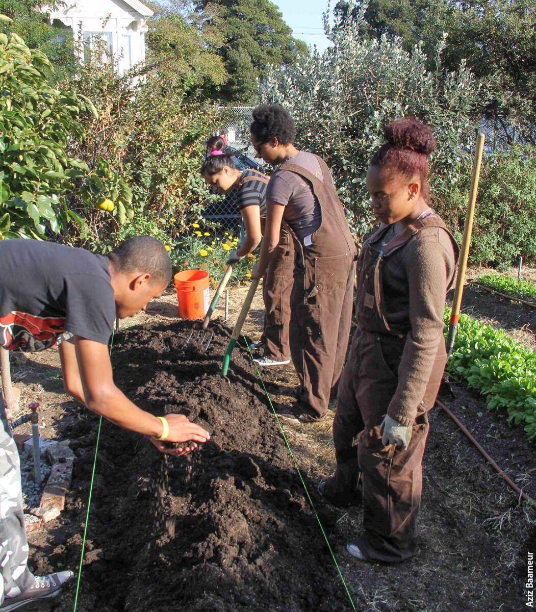 Participants in an urban agriculture project analyzed for this research get their hands dirty at WOW Farm in Richmond, Contra Costa County. The project's policy outcomes included governmental support for local urban agriculture ordinances.