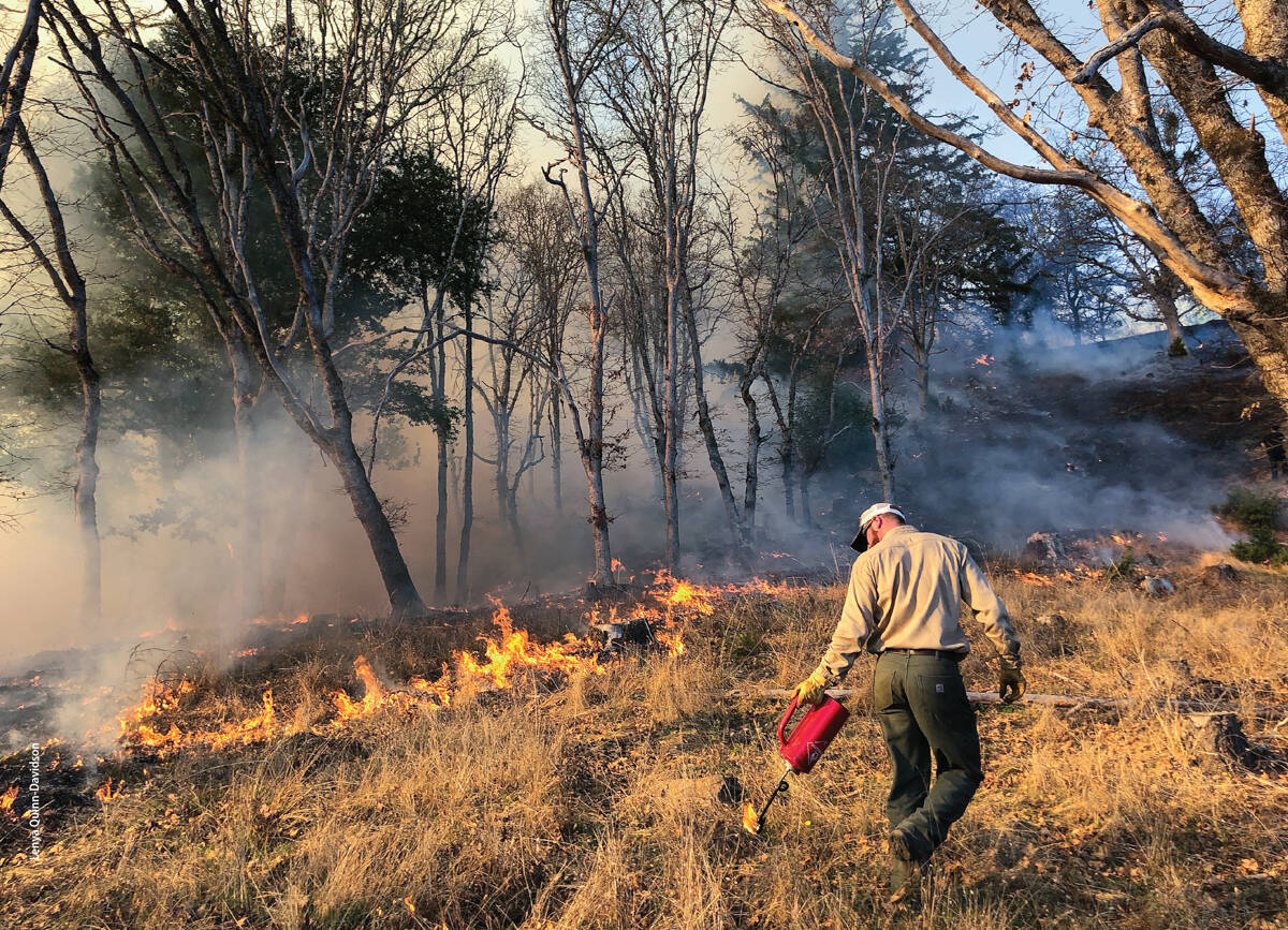 Jeffery Stackhouse, a Humboldt County UCCE livestock and natural resource advisor, participates in a restoration-focused prescribed fire in deciduous oak woodlands on a ranch in eastern Humboldt County.