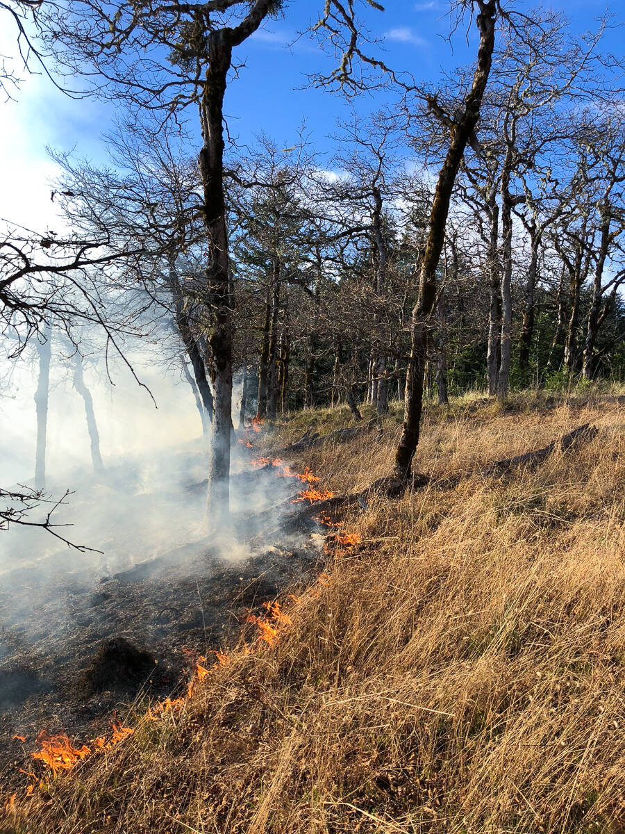 Due to legislative action, an executive order and changes in attitudes toward controlled burning, prescribed fire seems set to play a larger role in California's land management practices.