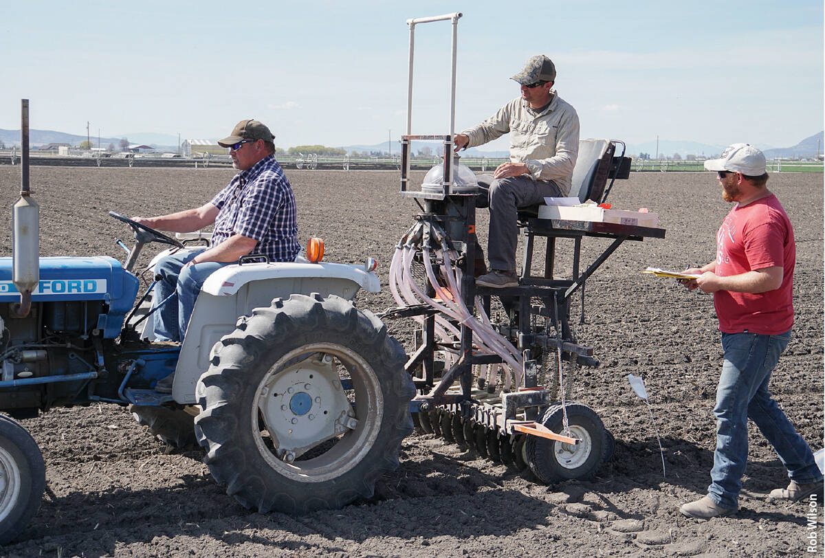 Planting a spring cover crop trial at IREC. As part of the research project, cover crop species such as grasses, vetches, field peas and mustards, as well as mixes of these species, were planted in spring, mid-summer and fall. Potatoes were planted the year after cover crops were grown.