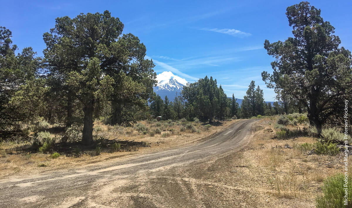 Many cannabis farms in Siskiyou County are located on mostly undeveloped subdivision lots, which are often sparsely vegetated, dry, hilly and small, making them highly visible from public roads, horseback, neighboring plots, helicopters and Google Earth.