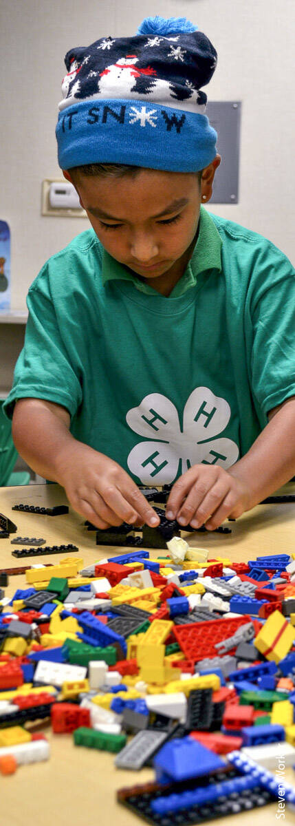 An elementary school student learns engineering design principles using building blocks in a 4-H after-school club. In its first 2 years, the 4-H Latino Initiative reached an additional 10,000 Latino youth in California.