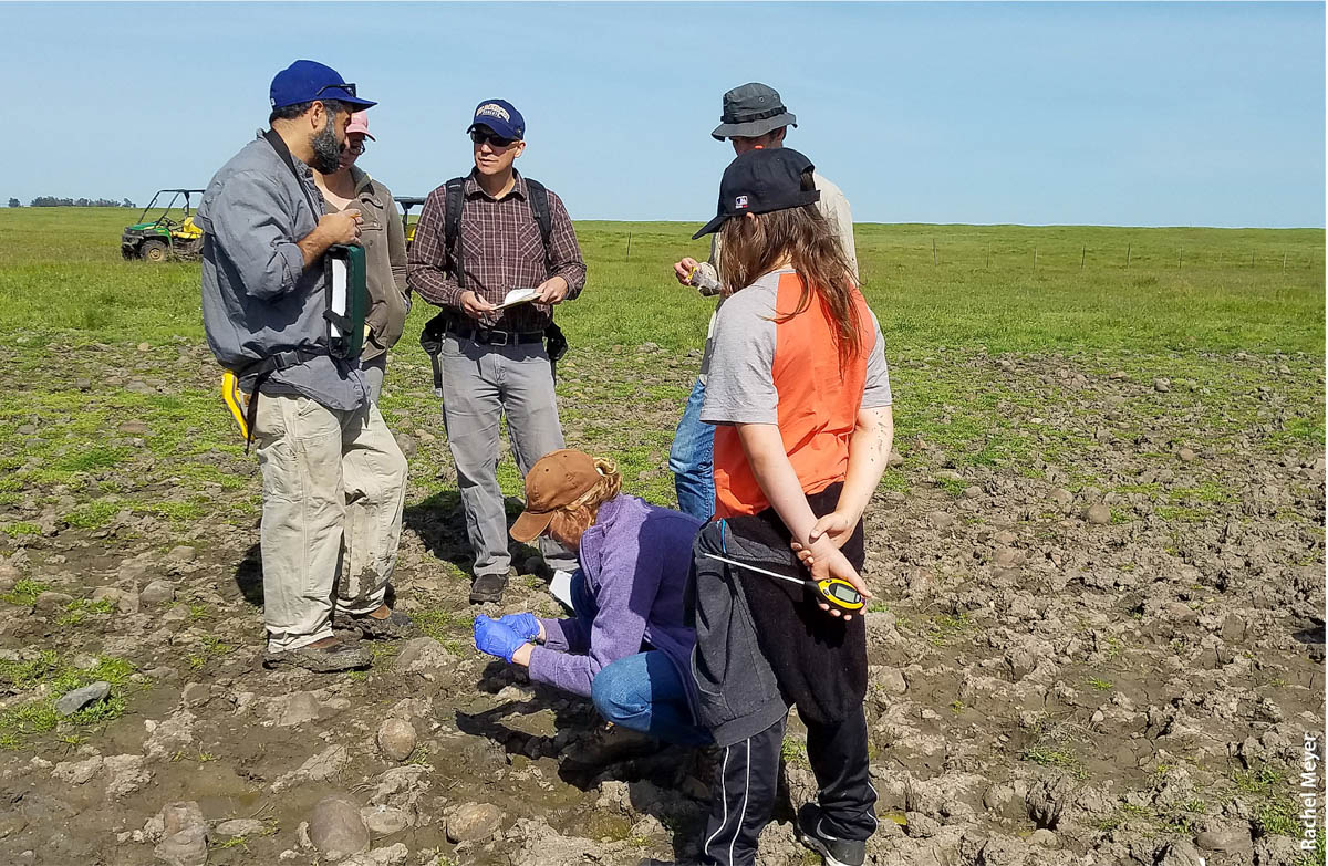 eDNA is being studied at five vernal pools on the UC Merced Vernal Pools and Grassland Reserve. Dr. Andy Aguilar (left), professor at California State University Los Angeles, talks to volunteers about fairy shrimp.