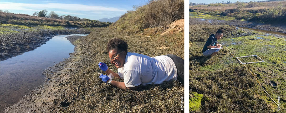 Dr. Tiara Moore, left, samples eDNA along a lagoon to inventory community species and track their responses to environmental stress. A volunteer, right, helps count organisms using traditional ecology methods.